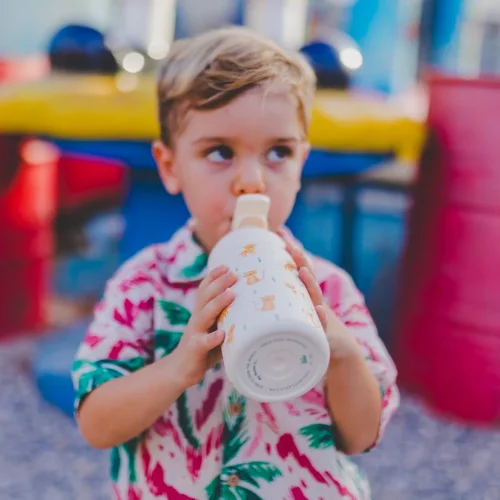 Detská nerezová termofľaša COOL BOTTLES Kiddie Whisker Kittens 350 ml 3D